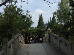 -白马涧龙池景区