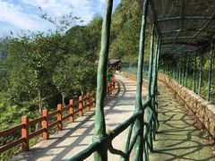 -磐安舞龙峡景区