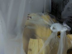 -起士林(荣安大街店)