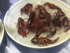 -乌鲁木齐环球国际大酒店