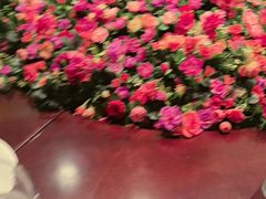 -万宝海鲜舫(劳动公园店)