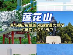 -梧桐山风景名胜区