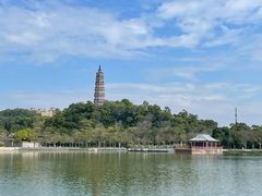 -顺峰山公园