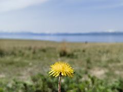 -赛里木湖风景名胜区
