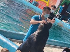 -蓬莱欧乐堡海洋极地世界