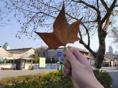 -天一阁博物院