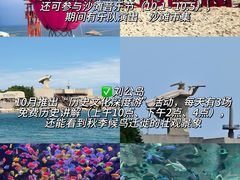 -巧克力渔家.小船海鲜胶东菜(万平口店)