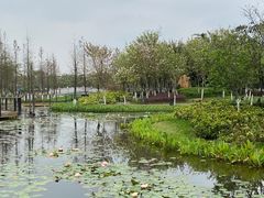 -映月湖公园