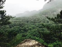 -五女峰国家森林公园