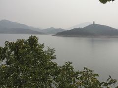 -望湖烤鱼