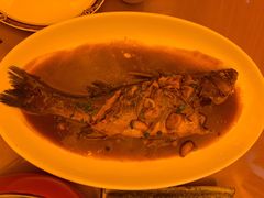 海鲈鱼-启东恒大酒店·吕四渔号海鲜餐厅
