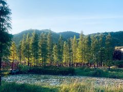 -广州市石门国家森林公园