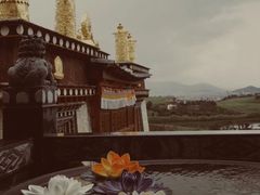 -噶丹松赞林寺
