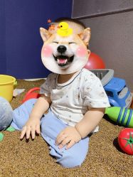 -幻贝家儿童乐园(苏州中心店)