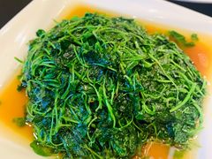 米茜-新南华大酒店(长寿店)