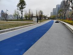 -金沙湖公园