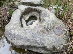 -张坝桂圆林公园