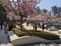 -新江湾城公园