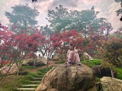 -广州市帽峰山景区