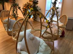 -Husky Go! 哈士奇体验馆·宠物咖啡厅狗咖