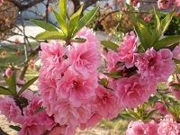 -北京邮电大学