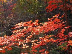 -丹东天桥沟景区