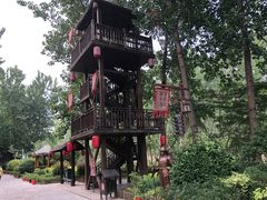 -合肥滨湖国家森林公园