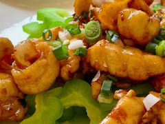 -正能量脆肉鲩火锅