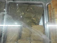 -中关村茶点