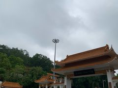 -深圳仙湖植物园