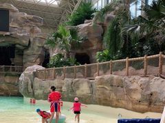 -杭州开元森泊度假乐园