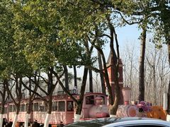 -合肥滨湖国家森林公园