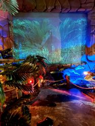 -恐龙探索乐园(磁器口店)