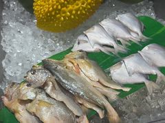 -帝豪酒店•马可勃罗西餐厅