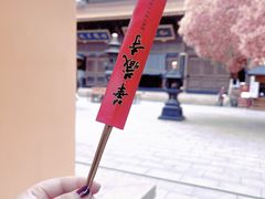 -亭林园-华藏寺