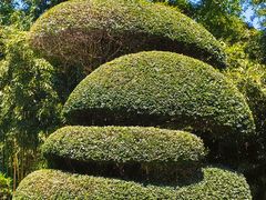 -苏州河梦清园环保主题公园