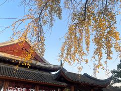 -上海东林寺(金山区)
