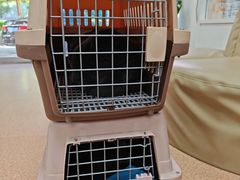 -宠颐生中康贝怡动物医院