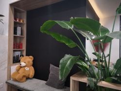 点击看大图 -Garden花園造型