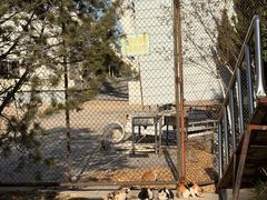 -济南国际园博园