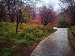 -福清灵石山国家森林公园