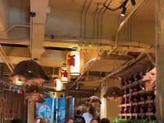 -泥糊破店小酒馆·团建聚餐(南京西路店)