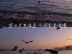 -石槽海滨浴场