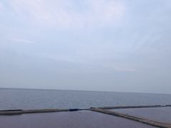-碧海金沙