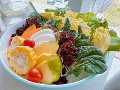 -菌子鲜汤野生菌锅