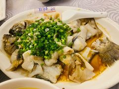 香葱淋鲈鱼-粤·向群饭店(龙津东路总店)