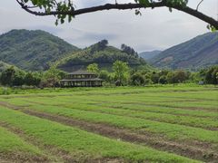 -径山花海