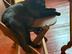 -春风十里咖啡馆