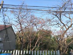 -敬亭山风景名胜区