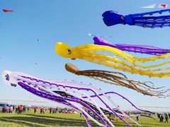 -潍坊滨海云门国际风筝放飞场